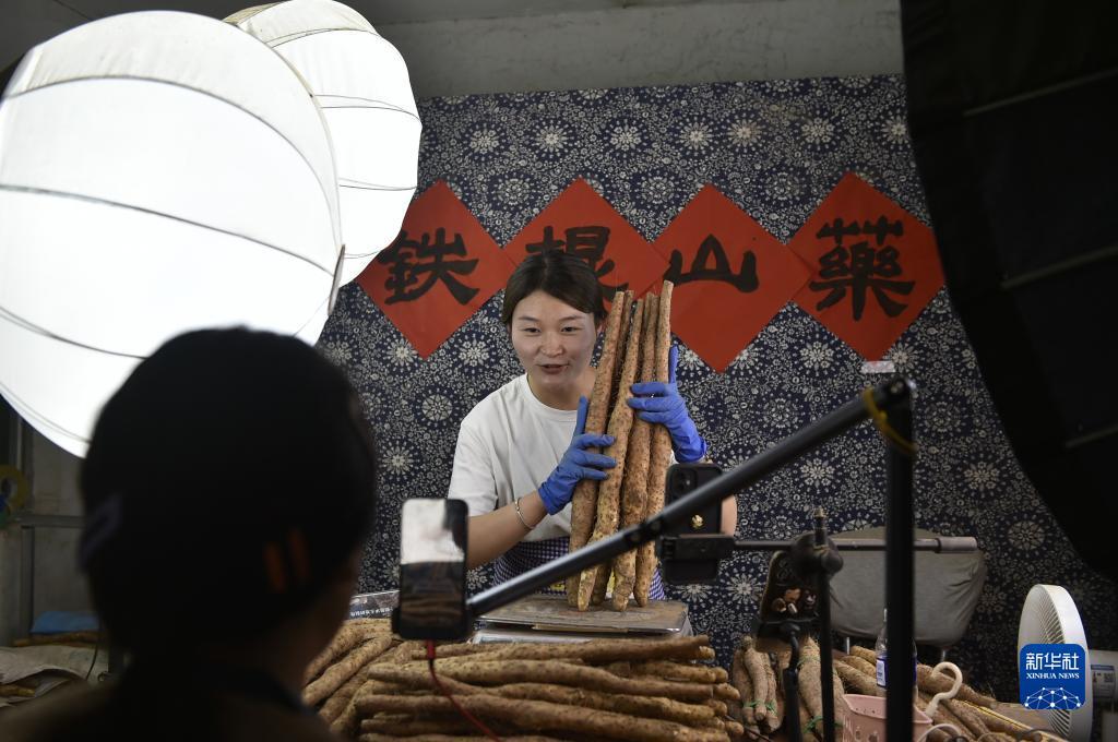 摇钱树捕鱼24小时上下分